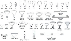 bulb shapes